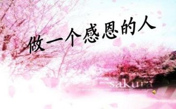 校感恩演讲稿精选8篇