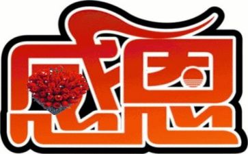 对老师的感恩作文精选8篇