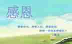 感恩活动的总结优质8篇