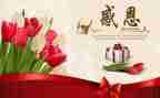 感恩教师的演讲稿参考6篇