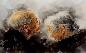 动物的感人故事作文7篇