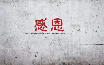 我感谢作文300字最新7篇