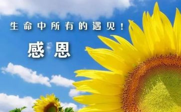 感谢老师地演讲稿参考6篇