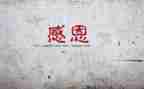 我感谢作文300字最新7篇