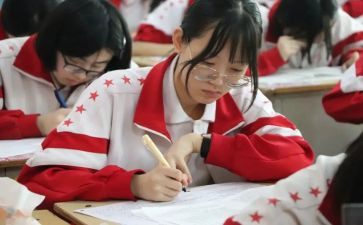 高三政治教学总结5篇