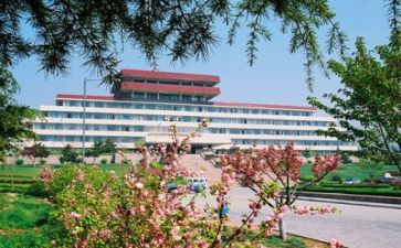 高校招就述职报告最新8篇