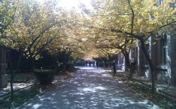 高校教师工作个人总结优质7篇