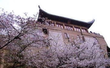 2024年高校教师年度工作总结优秀7篇