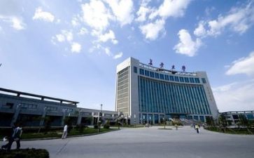 高校招就个人述职报告8篇