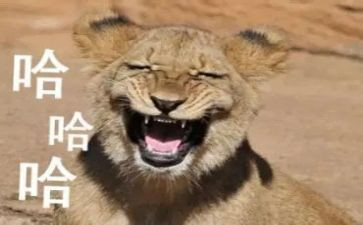 搞笑版的作文推荐8篇