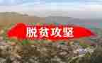 脱贫攻坚工作年终工作总结6篇