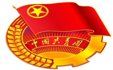 优秀共青团干部自我鉴定8篇
