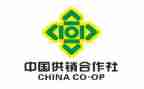 供销社作述职报告范文8篇