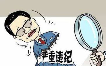 2024年公职律师年度总结7篇