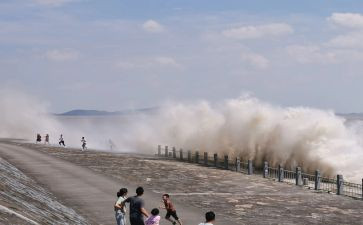 观潮的读后感300个字7篇