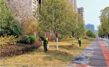 主管护师工作总结范文5篇
