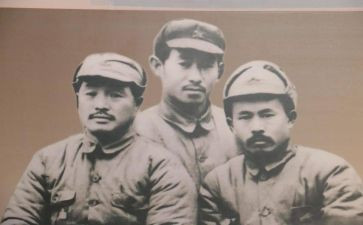关向应英雄故事读后感精选8篇