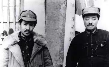关向英读后感600字通用8篇