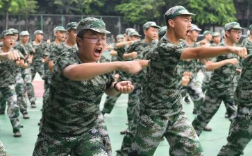 观训心得体会200字7篇