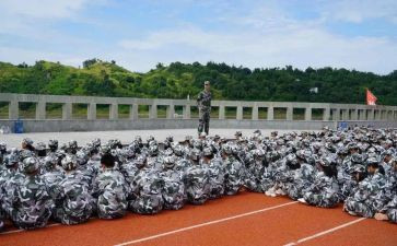 观训心得体会200字通用8篇