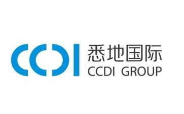 2024国际残疾人日活动总结7篇
