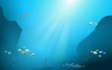 海底两万里心得体会参考8篇