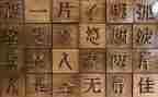汉字写调查报告7篇