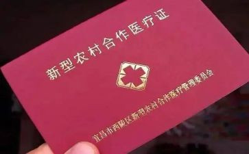 镇合疗工作述职报告8篇