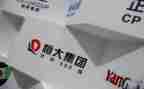 恒大的作文6篇