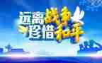 《为了和平》的心得5篇