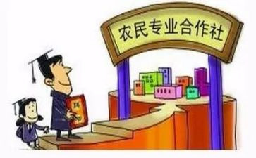 合作社申请书7篇