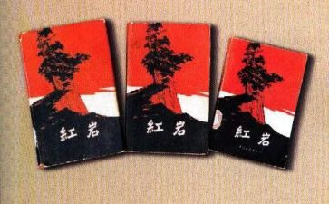 红岩的读后感700字7篇