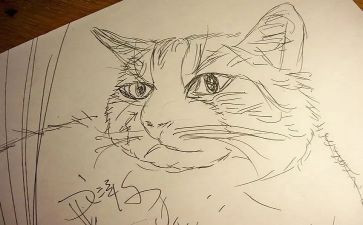 幼儿园小班《画》教案反思5篇