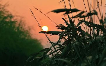 《怀念》的读后感600字8篇