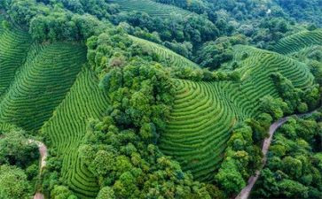 大环境下个人总结范文8篇