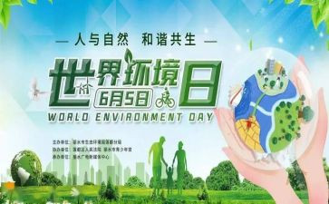 环境日活动总结5篇