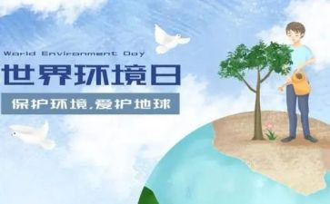 2024环境日宣传活动总结8篇