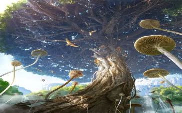 幻想的读后感8篇