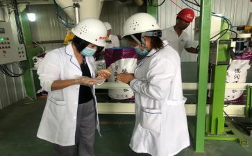 检化验工作总结5篇