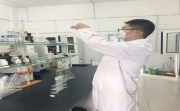 转正化验工作总结7篇