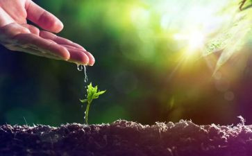 感恩回报作文优质8篇