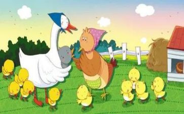 大班绘本教案教案8篇