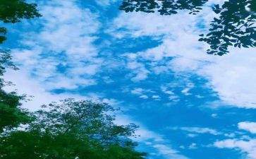 童年回忆作文500字7篇