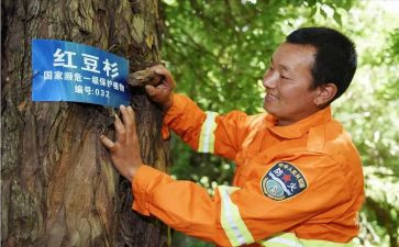 护林员个人总结5篇