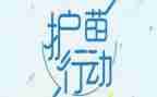 护苗在行动的观后感6篇