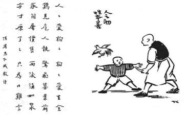 保护生态作文6篇