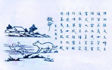 保护生态环境活动方案5篇