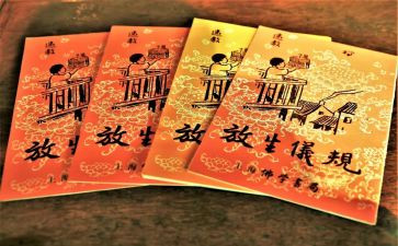 保护生态环境的心得体会6篇