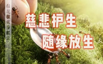保护生态环境的讲话稿7篇