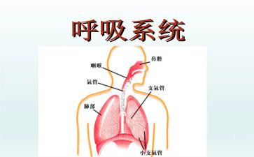 呼吸内科自我鉴定优质7篇